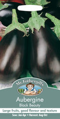 Aubergine Black Beauty