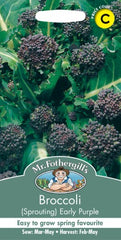 Broccoli (Sprouting) Early Purple